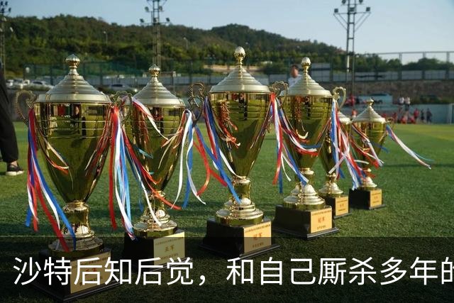 沙特后知后觉,和自己厮杀多年的胡塞武装,暗地里早和美国谈好了