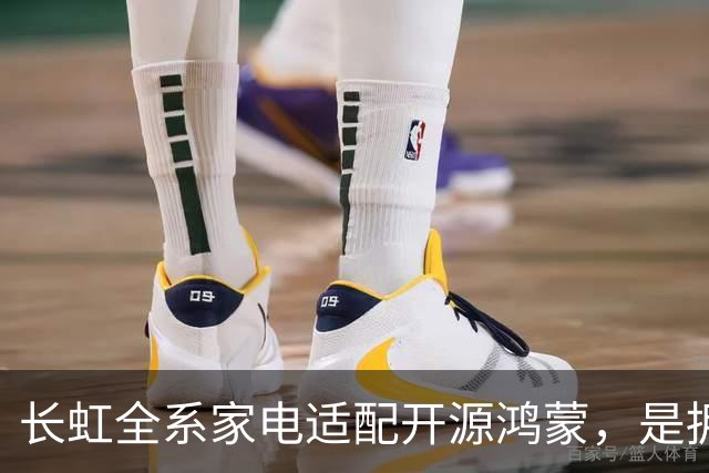 长虹全系家电适配开源鸿蒙,是拥抱生态更是求生